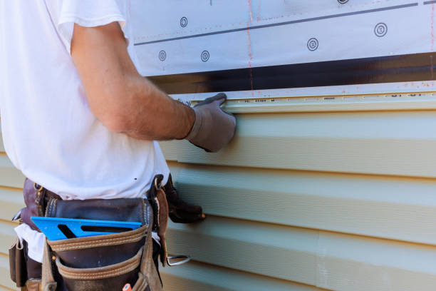 Affordable Siding Repair solutions in Woodridge, IL