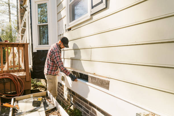 Top rated local Siding Repair specialists in Woodridge, IL